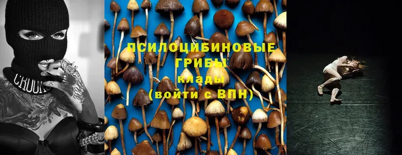 продажа наркотиков  Петров Вал  Галлюциногенные грибы Magic Shrooms 